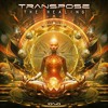 Download Video: Transpose (CA) - The Healing (Original Mix)