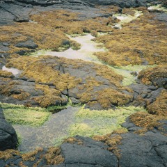 Mackenzie w/ Suze: 21st November '24