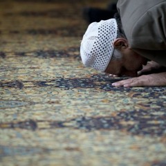 الغفلة عن العبودية - الشيخ أديب الصانع