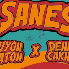 GuyonWaton x Denny Caknan  SANES Official Music Video