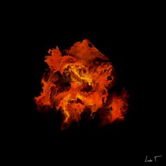 Corren Cavini - Wadi Dana (SNIPPET)