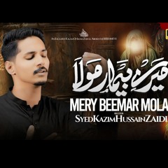 Mere Bemar Mola | Syed Kazim Hussain Zaidi | New Noha Mola Sajjad as 2025