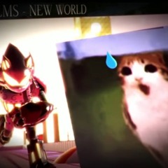 New World (Meowl Solo Theme)  SONIC.EXE OUTCOME MEMORIES