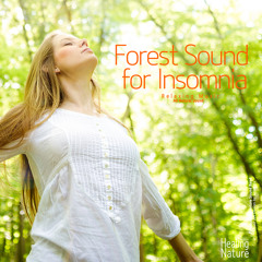 Wood Tunnel in the Forest (ASMR, Sleep Music, Meditation Music)