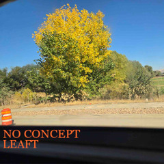 No Concept