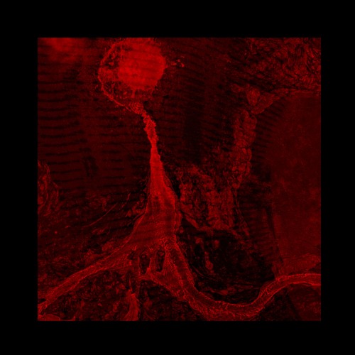 Flæmish Lion x Primitif x Shivir - Khangar