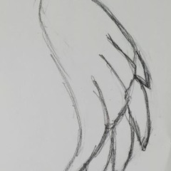 WINGS [PROD. Bashful]