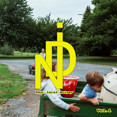 IDN Vol. 1