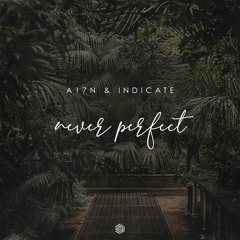 A17N & Indicate - Never Perfect