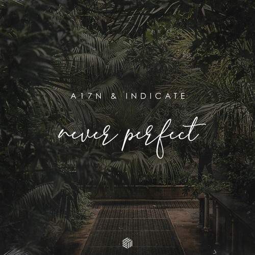 A17N & Indicate - Never Perfect