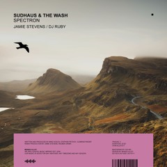 Sudhaus & The Wash - Spectron