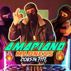 AMAPIANO MADNESS 🔥 DANCING INTO NOVEMBER | MIX by COUSIN 7117