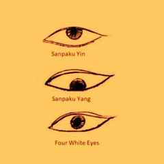 Yin Sanpaku ft. Resolve