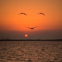 CobyLoops - Happy Days