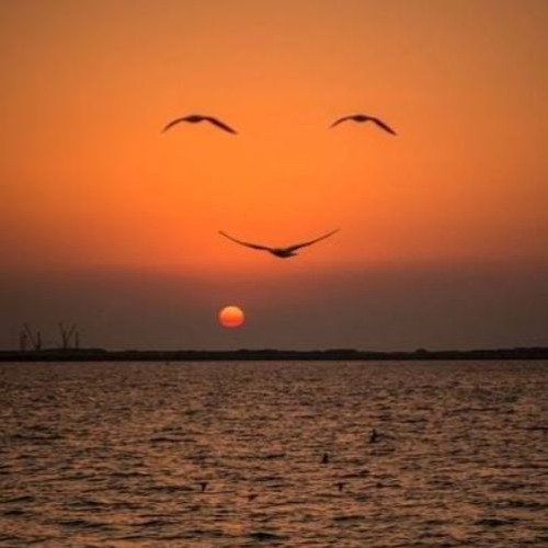 CobyLoops - Happy Days