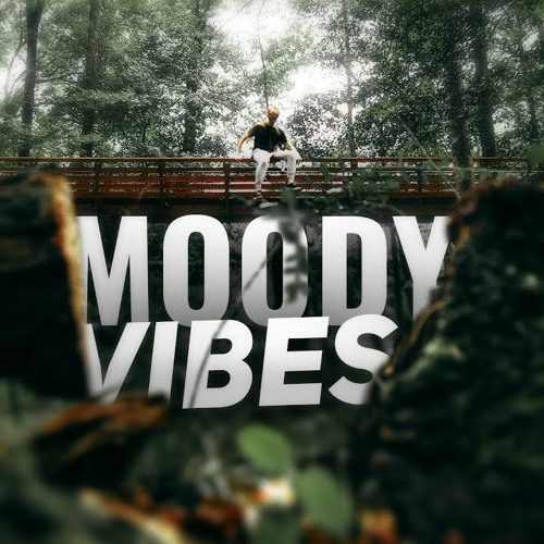 Moody Vibes MaMa , Sha - Banga