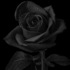 Winters Devoid - Black Rose (prod. darciere)