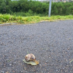 Океан Ельзи - Двоє