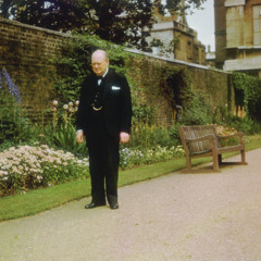 Kayleb Brinkmann - Party at Downing Street