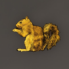Squirrel (Extended Mix)