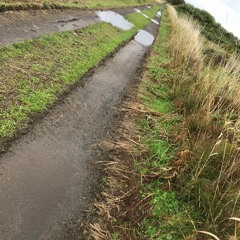 The Dawn - Alabafruit (Remix)