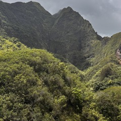 Nata maui set