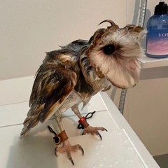 Pŗøĵęčŧ_¹