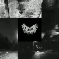 Decalius - No Life (2018)