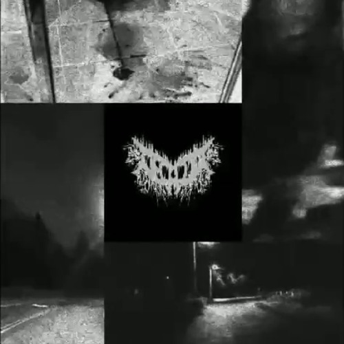 Decalius - No Life (2018)