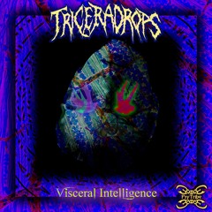 Triceradrops X Subsidiary - POS (Original Mix)