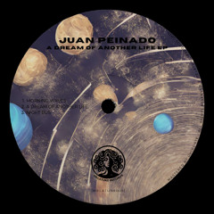 Juan Peinado - A Dream Of Another Life [MELATUNE005] Preview