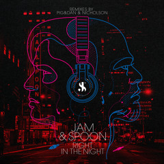 Right In The Night (Nicholson Remix) [feat. Plavka]