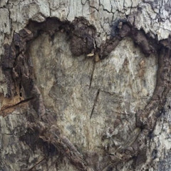 graciosnaya smert` (prod. cshnmjns)