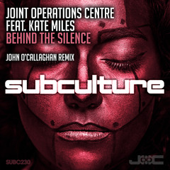 Behind the Silence (John O’Callaghan Remix)