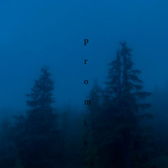 promise