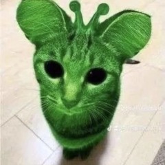 goofunk (winner!)