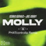 Molly (PHATcontrolla Remix) - Joel Corry & Cedric Gervais.wav