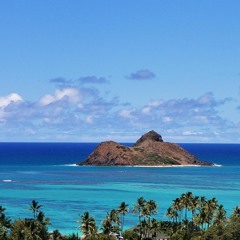 PARADISE