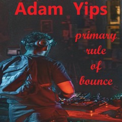 Adam Yips - Primary Rule Of Bounce
