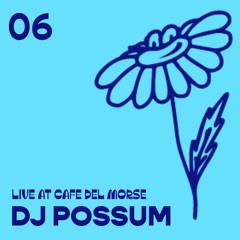 CDM006 - DJ Possum