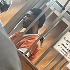 TLG MARI - #Freemari 🌊