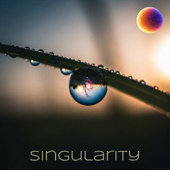 Singularity