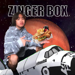 Zinger Box