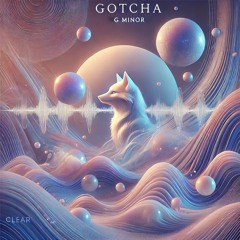 CLEAR - GOTCHA