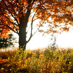 These Days [prod. Han]