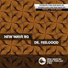 New Wave BG Guest Podcast 163 by Dr. FeelGood