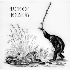 Back of house v.47