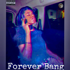 Forever Bang