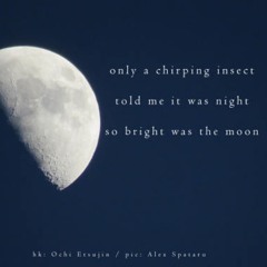 naviarhaiku363: only a chirping insect
