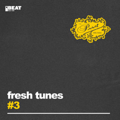 Fresh Tunes - The Man (Extended Mix)